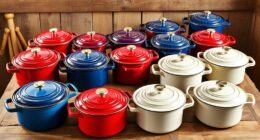 top 14 enameled cast iron ovens