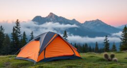 top lightweight 2 person tents