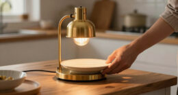 10 Best Best Premium Food Warming Lamp in 2026