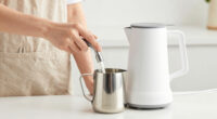 10 Best High-Ticket Commercial Milk Steamer in 2026