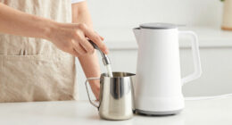 10 Best High-Ticket Commercial Milk Steamer in 2026