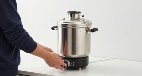 10 Best High-Ticket Electric Samovar in 2026