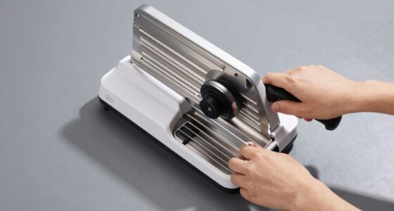 11 Best High-Ticket Commercial Food Slicer in 2026