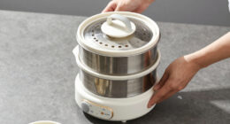 11 Best High-Ticket Electric Steamer Multi Tier in 2026