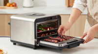 11 Best High-Ticket Jerky Dehydrator Commercial in 2026