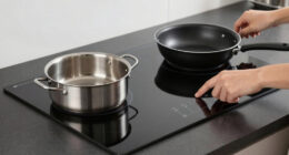 11 Best Top Rated Induction Cooktop in 2026