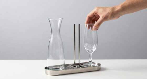11 Best Top Rated Mimosa Bar Serving Set in 2026