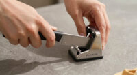12 Best Best Premium Commercial Knife Sharpener in 2026