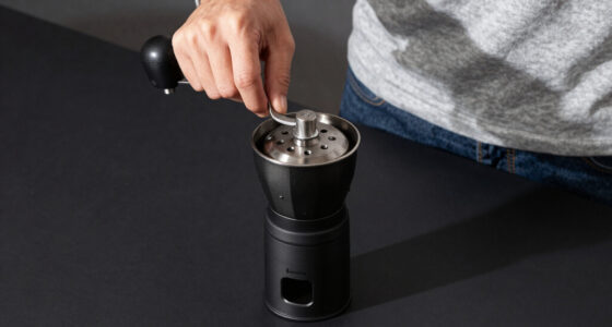12 Best Top Rated Commercial Burr Coffee Grinder in 2026