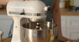 12 Best Top Rated Stand Mixer Bowl Lift in 2026
