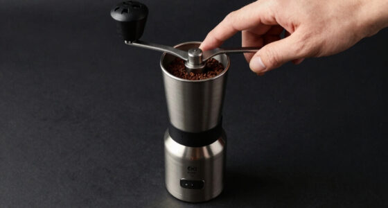 13 Best High-Ticket Single Dose Espresso Grinder in 2026