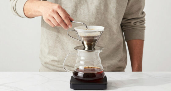 13 Best High-Ticket Specialty Coffee Brewer for Pour Over Lovers in 2026
