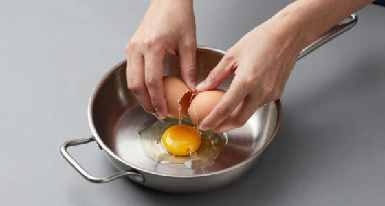 13 Best Premium Egg Poacher Pan Stainless Steel in 2026
