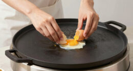 6 Best High-Ticket Commercial Flat Top Griddle in 2026