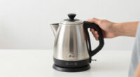 7 Best Top Rated Electric Kettle With Temperature Control in 2026