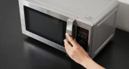 8 Best High-Ticket Commercial Microwave Oven in 2026