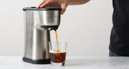 8 Best Top Rated Nitro Cold Brew Maker in 2026