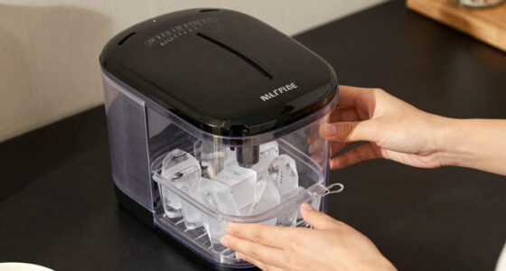 9 Best Top Rated Clear Ice Maker Machine in 2026