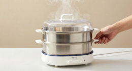 9 Best Top Rated Countertop Food Steamer in 2026