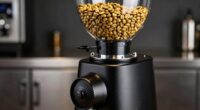 burr grinder capacity considerations