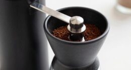 conical grinders remain popular