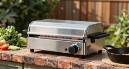 home use salamander broilers