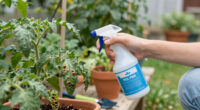 12 Best Garden Pest Control Products in 2026