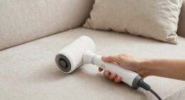 15 Best Pet Hair Removers in 2026