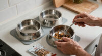 14 Best Pet Products for Seniors in 2026