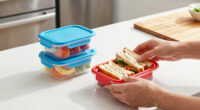 How to Choose Lunchbox Food Storage Containers