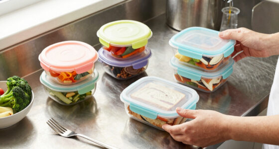 Lunchbox Food Storage Containers: A Back to school Guide