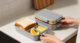 10 Best Student Lunch Box Organizers in 2026