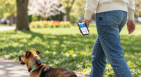 13 Best Pet Trackers in 2026