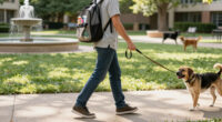 4 Best Pet Campus Essentials in 2026