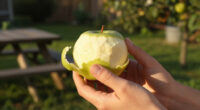 Eating Fruit Skins