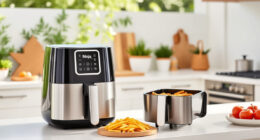 Ninja Air Fryer 4 Qt: The Summer-Friendly Multi-Cooker