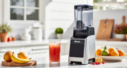 Summer Care & Cleaning Tips for Ninja SLUSHi Twist Frozen Drink Maker