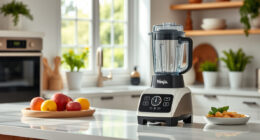 Summer Care & Troubleshooting for Your Ninja Professional Blender