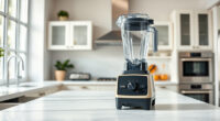 Vitamix E310 Explorian Review: Pros, Cons, and Who It's For
